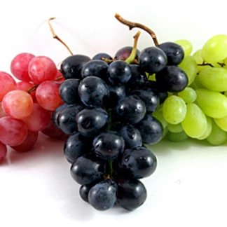 Vinske sorte vinove loze